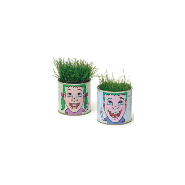 פחית ממותגת עם צמח בפנים כמתנה ירוקה לעובדים ולחברות